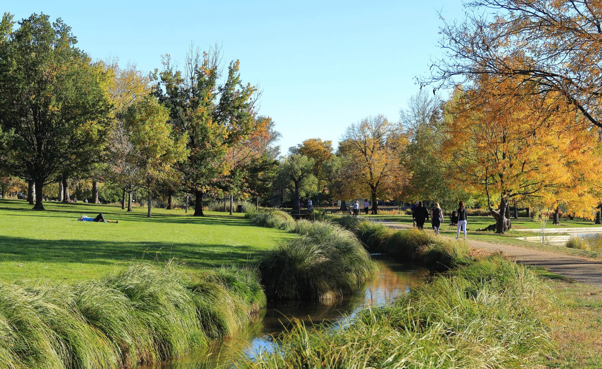 Top 10 Parks in the Denver Metro Area TJC Real Estate