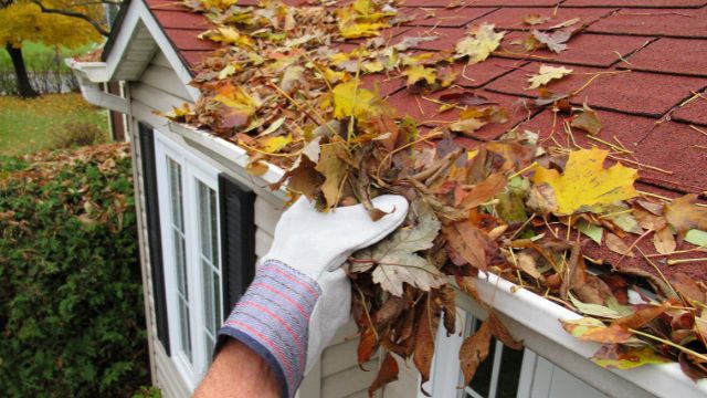 a person in work gloves removing leaves from a gutter